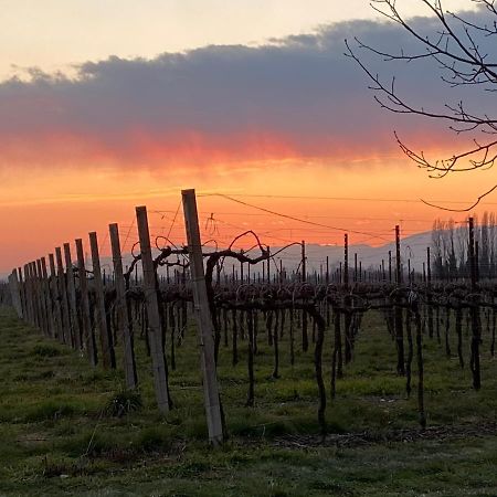 Agriturismo Richeton Βίλα Gaiarine Εξωτερικό φωτογραφία