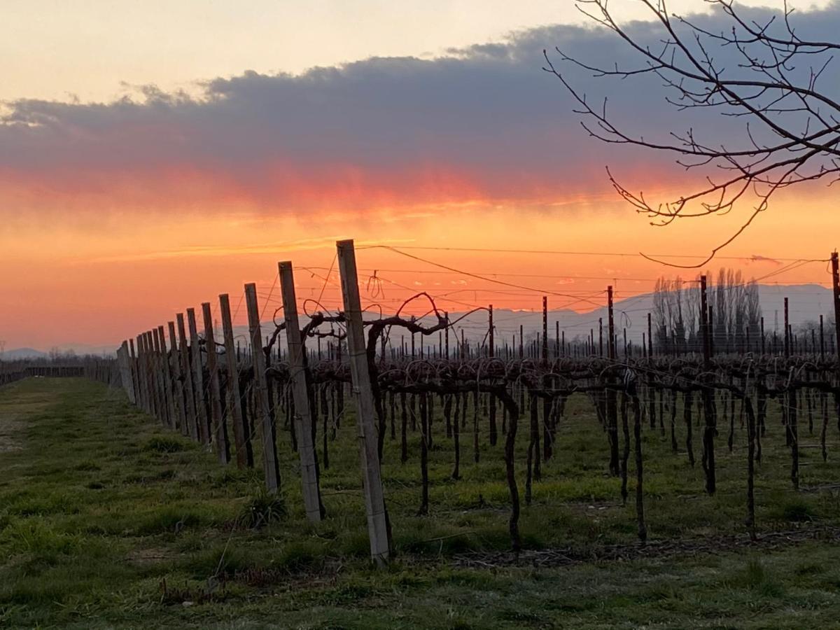 Agriturismo Richeton Βίλα Gaiarine Εξωτερικό φωτογραφία